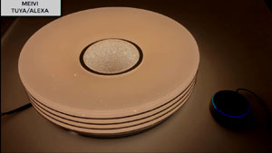 TUYA/ Alexa /Google Home/LED Ceiling Light