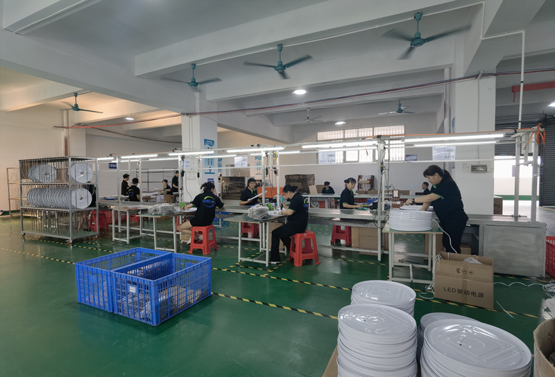 MEIVI Production Line